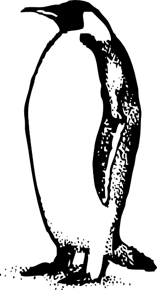 Penguin  black and white penguin clip art black and white free