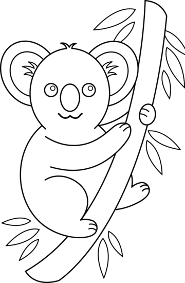 Photos of koala clip art drawing cartoon bear