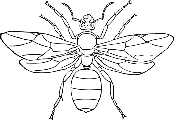 Queen ant clip art free vector in open office drawing svg