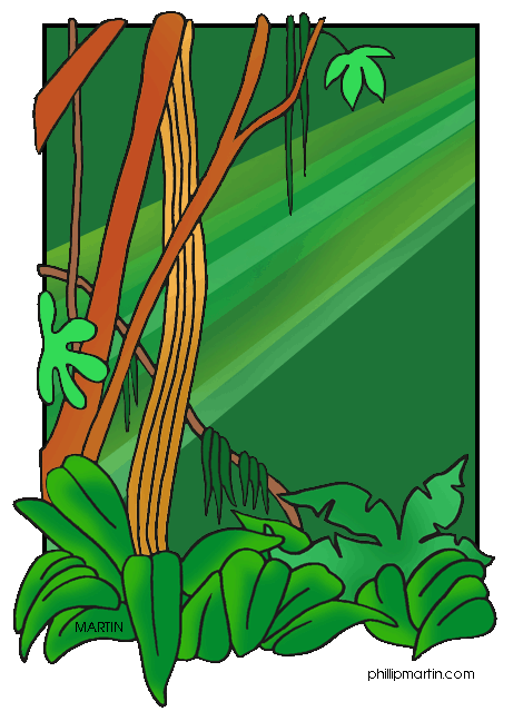 Rainforest clip art for kids free clipart images