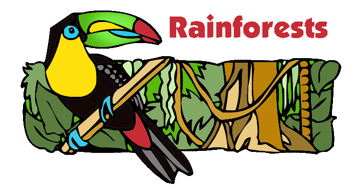 Rainforest clipart 3