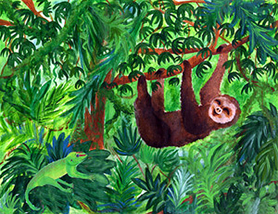Rainforest rain forest clipart