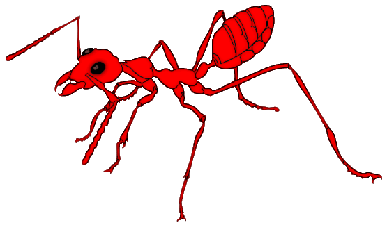 Red ants clipart 2