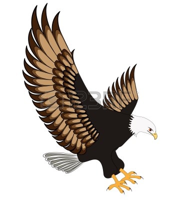 Red tailed hawk clipart free images 2