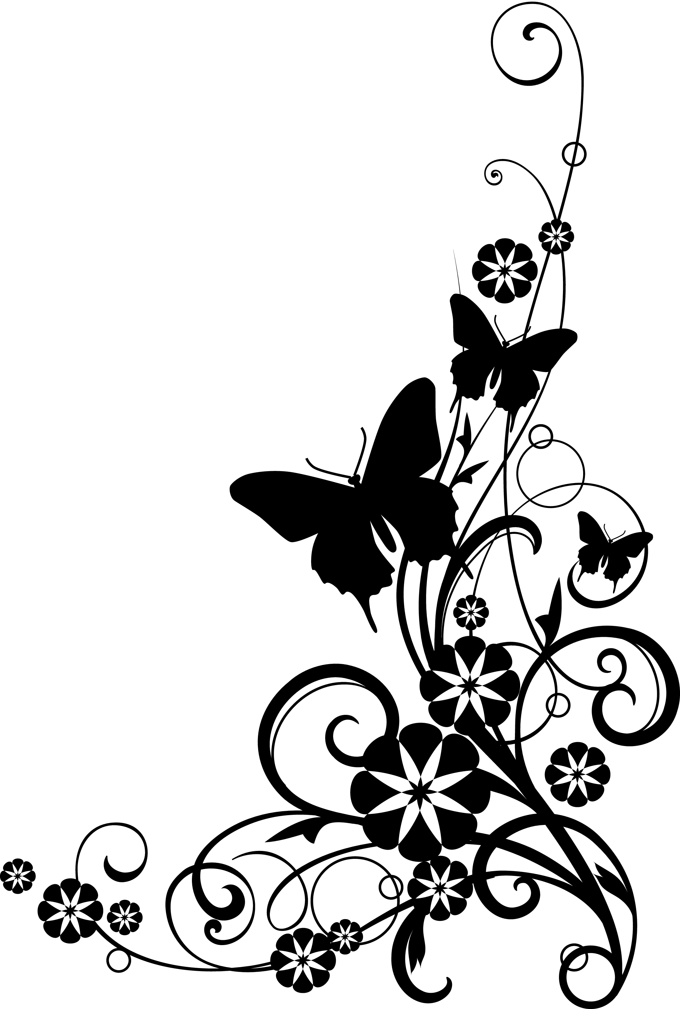 Rose  black and white black and white rose clipart 7
