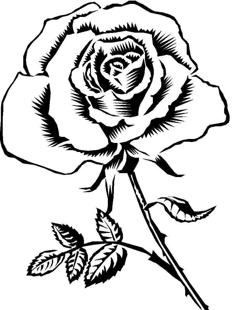 Rose  black and white black rose clipart