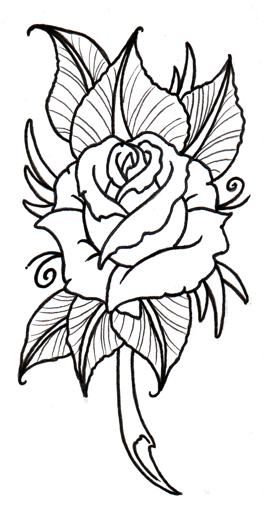 Rose  black and white gray tattoo roses clipart
