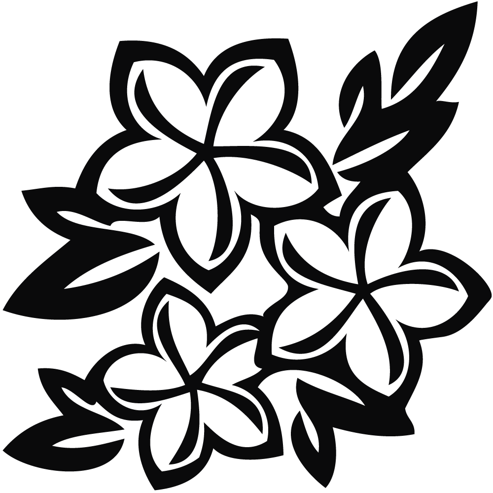 Rose  black and white hibiscus black and white clipart