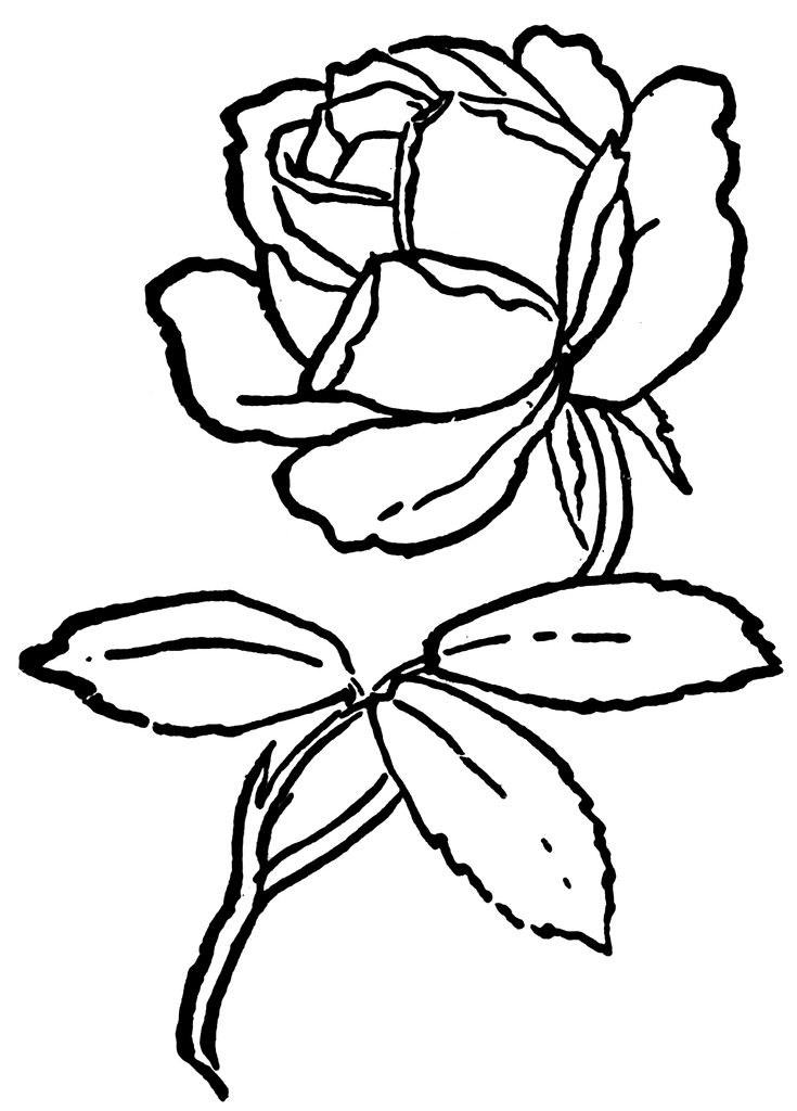 Rose  black and white rose clip art black and white free clipart images 2 2