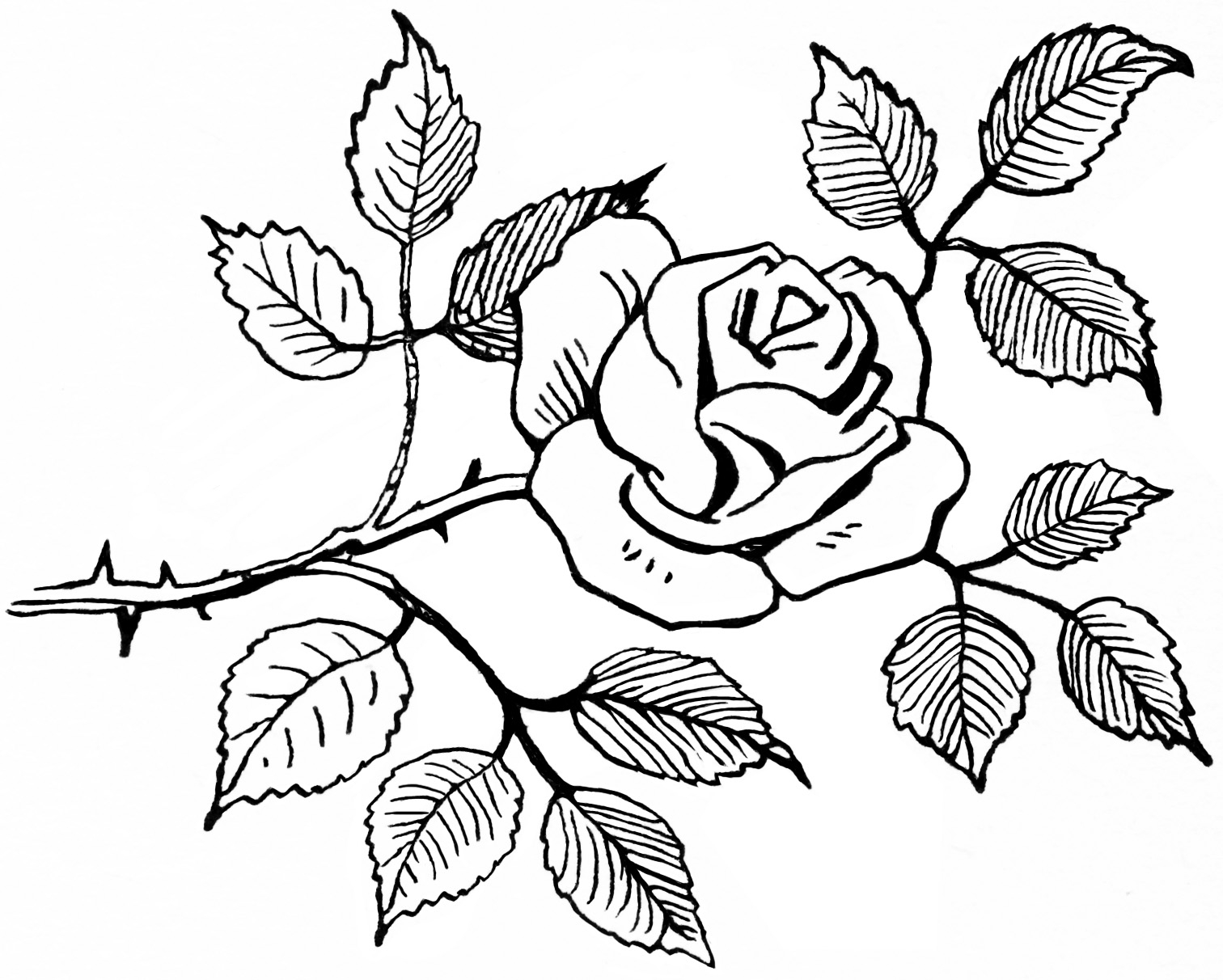 Rose Clipart Black And White 48 Cliparts