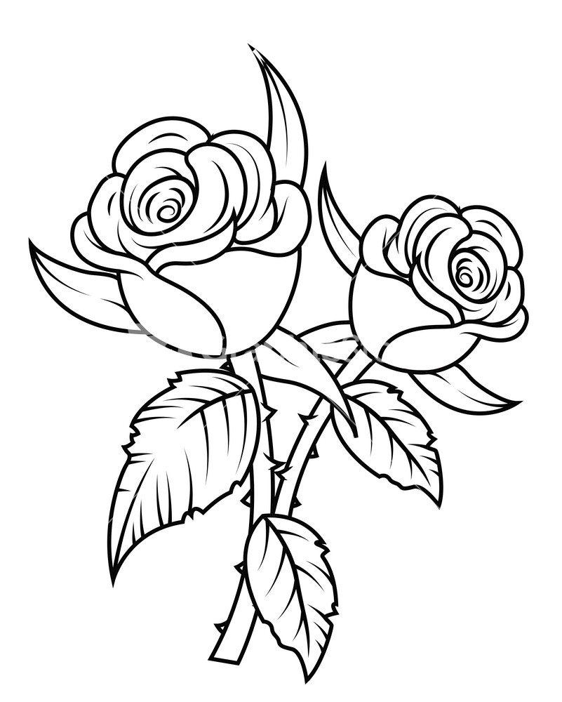 Rose black and white rose drawings black and white clip art - WikiClipArt