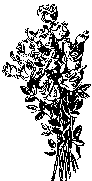 Rose  black and white white rose bouquet clipart 2