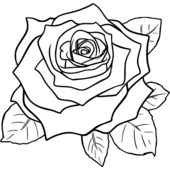 Rose black and white white rose clip art - WikiClipArt