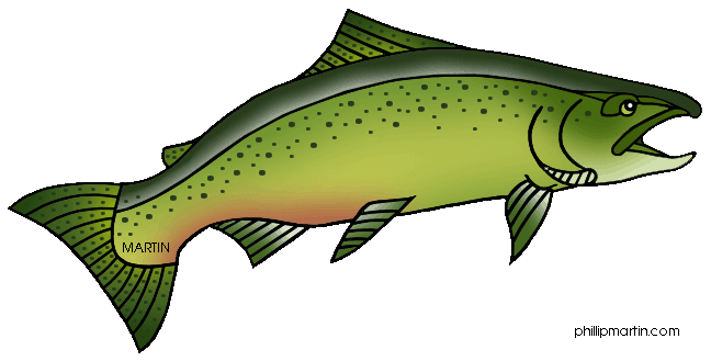 Salmon clipart free images