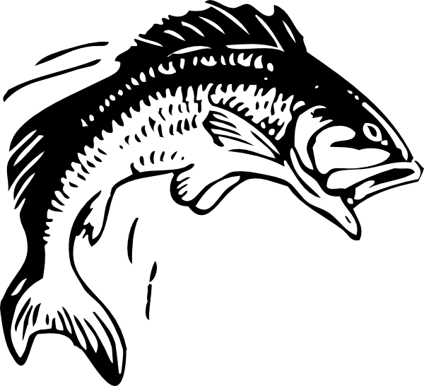 Salmon todd fish clip art at vector image