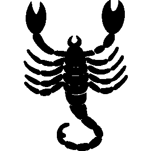 Scorpion backgrounds animals clipart lineart line art shirt