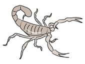 Scorpion clip art animal free download - WikiClipArt