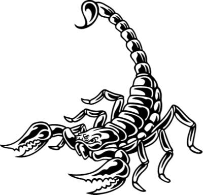 Scorpion clipart free images 2