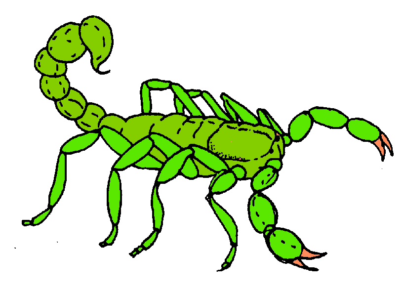 Scorpion clipart hostted 2