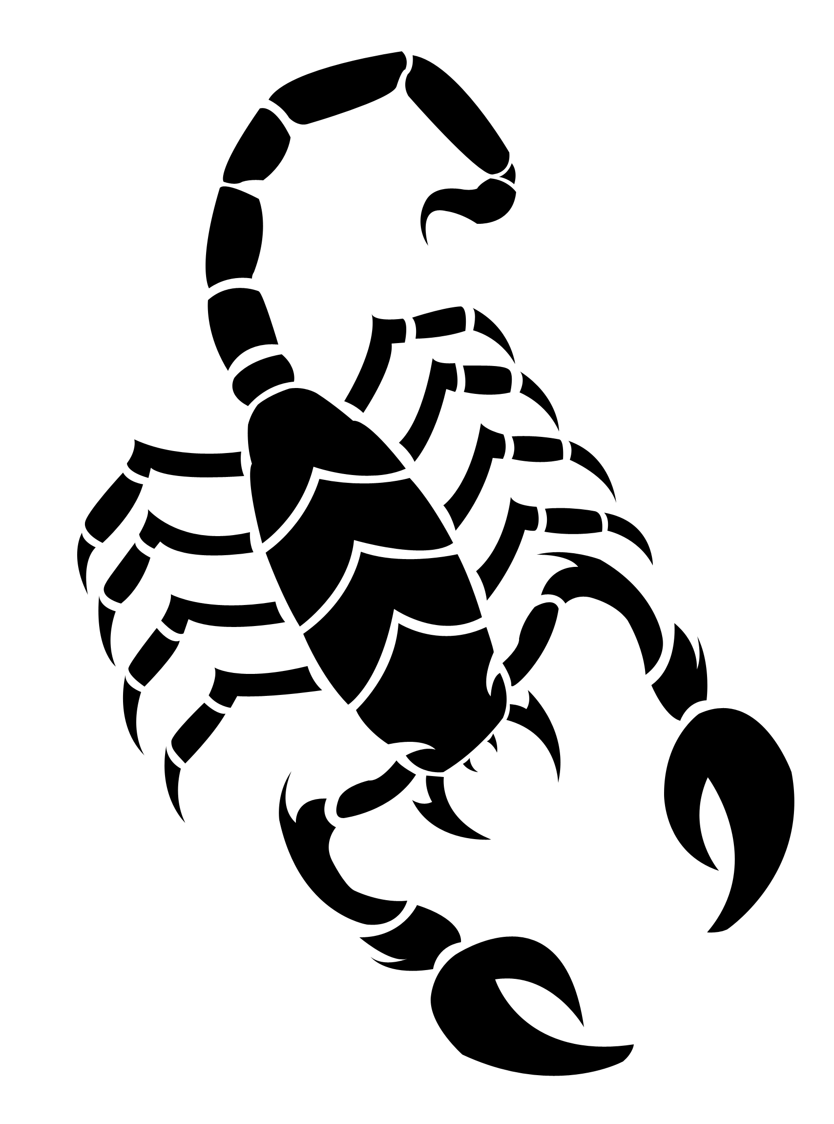 Scorpion drawing clipart