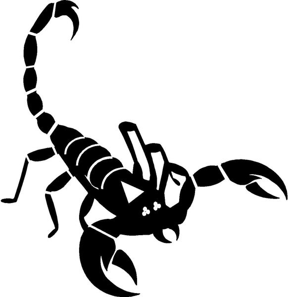 Scorpion free images at vector clip art