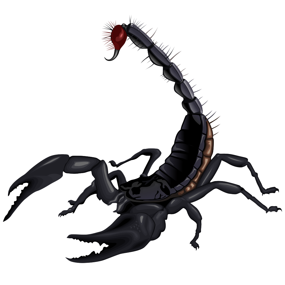 Scorpion free to use clip art