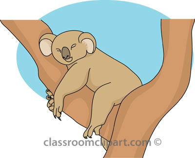 Search results for koala clipart pictures 3