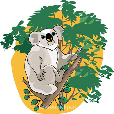 Search results for koala clipart pictures