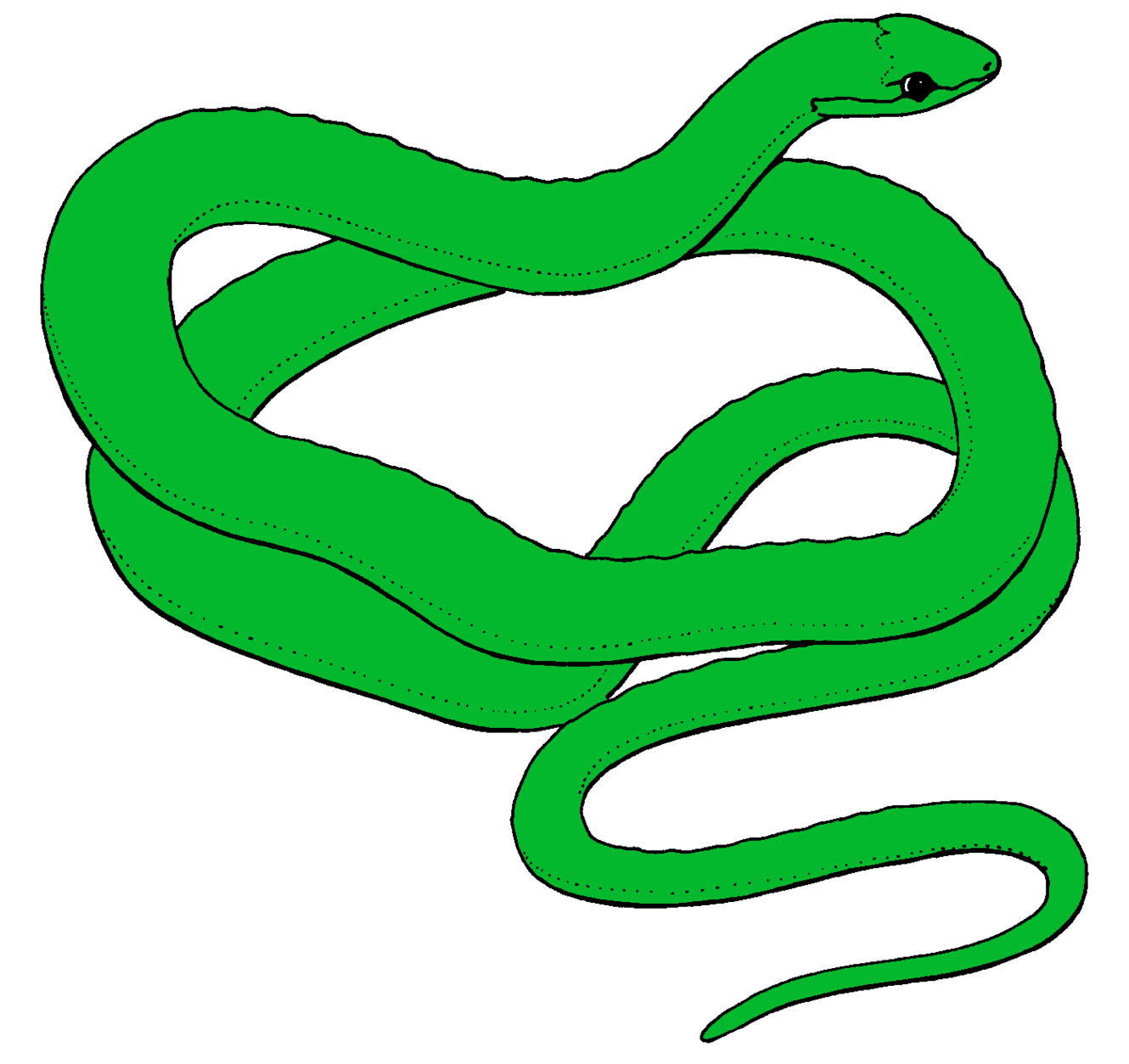 Snake clip art clipart free to use resource