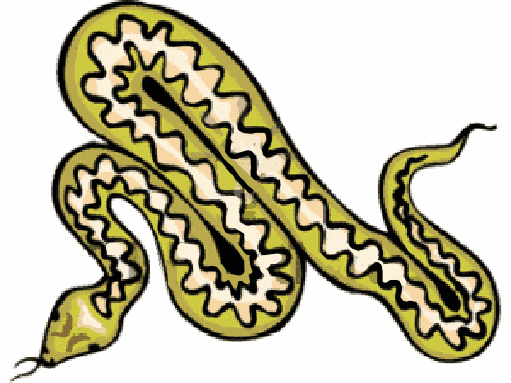 Snake clip art clipart image 1 2
