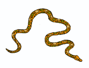 Snakes clip art