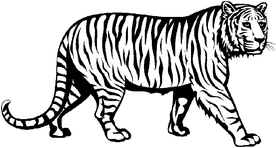 Tiger  black and white tiger face clip art black and white free clipart