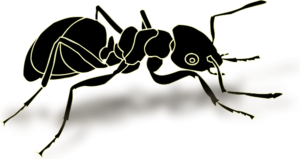 Walking ant vector clip art