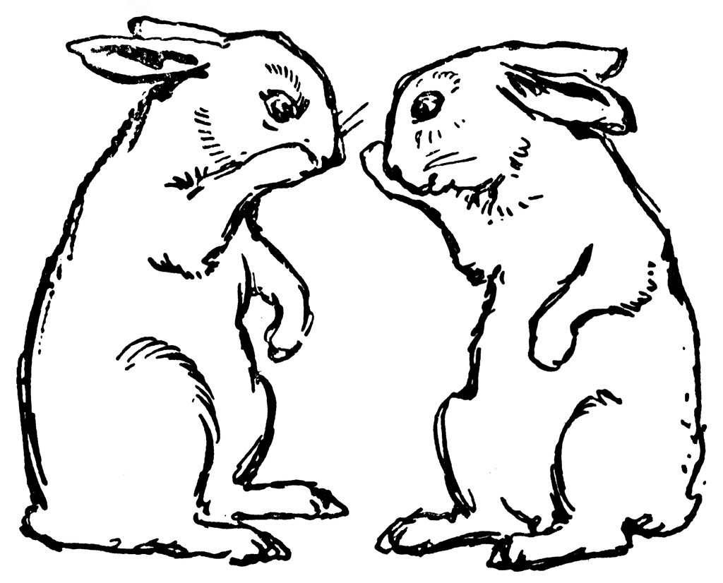 Bunny  black and white 0 images about rabbit images on clipart