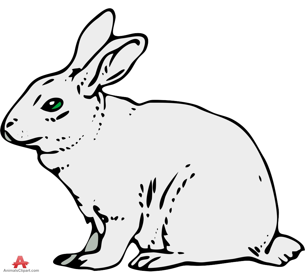 Bunny  black and white bunny black and white rabbit clipart 3