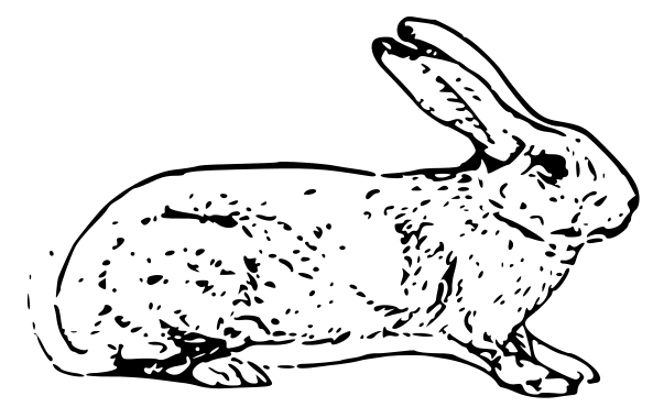 Bunny  black and white free black and white rabbit clipart 1 page of clip art