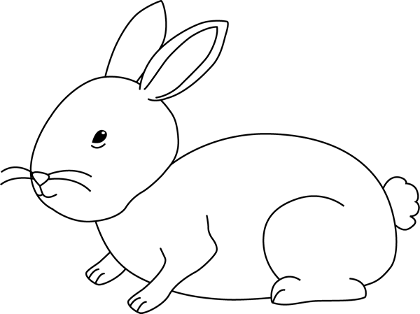 Bunny  black and white white rabbit clipart 2
