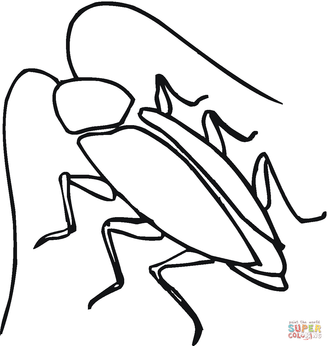 Cockroach coloring pages free coloring pages clip art