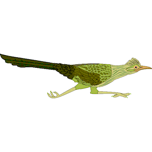 Roadrunner 4 clipart cliparts of free download wmf