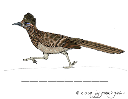 Roadrunner clip art projects and art on