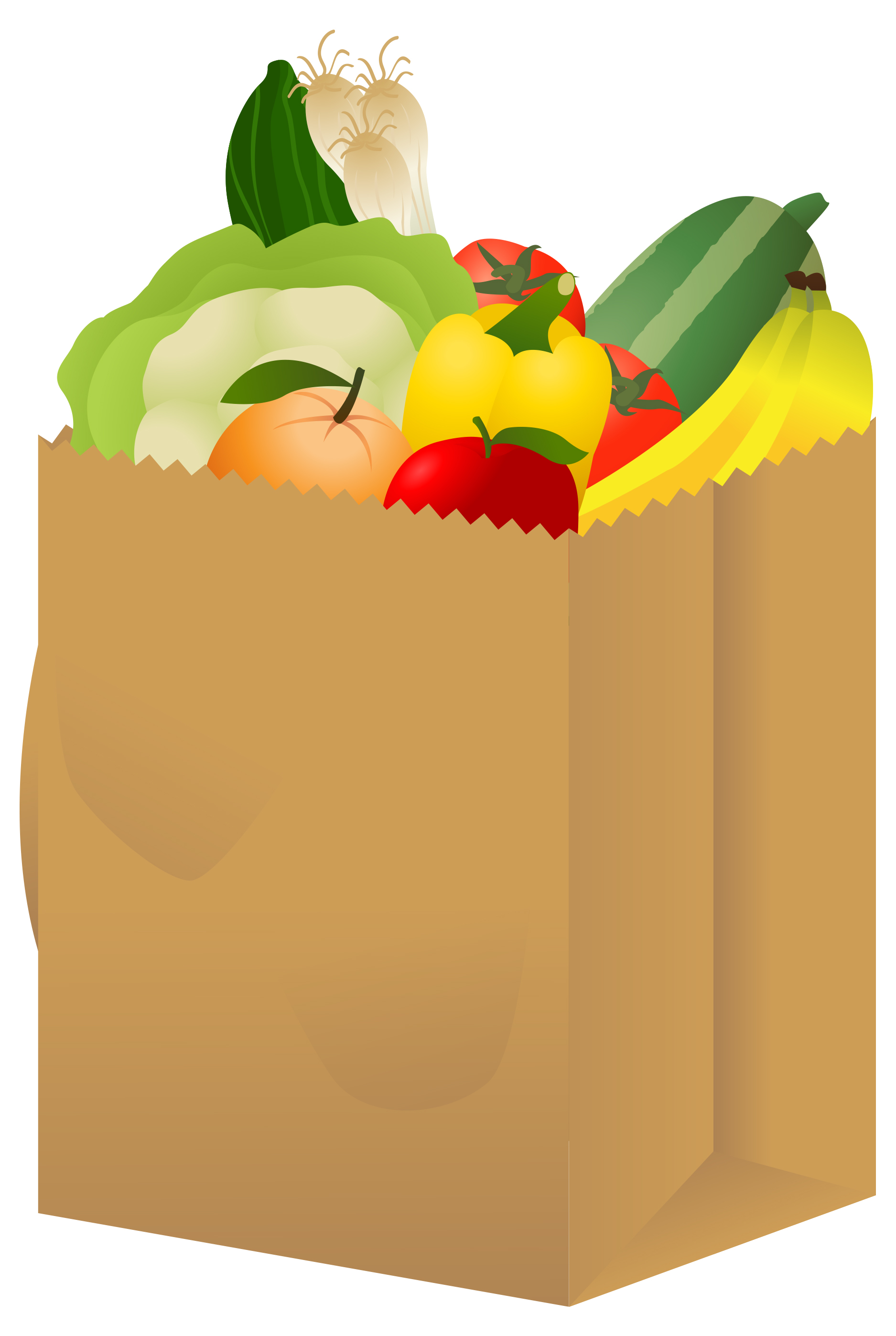 Shopping bags grocery bag clipart