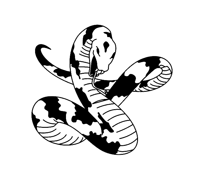 Snake  black and white black and white drawings of snake clipart 2