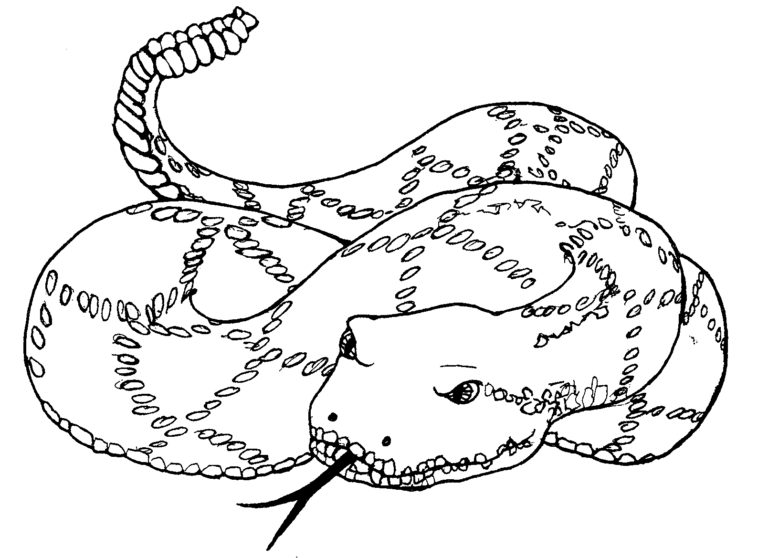 Snake black and white mormon share snake 2 clip art - WikiClipArt