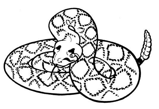 Snake  black and white rattlesnake clipart free download clip art on