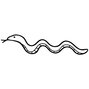Snake  black and white reptile outline clipart black and white clipart