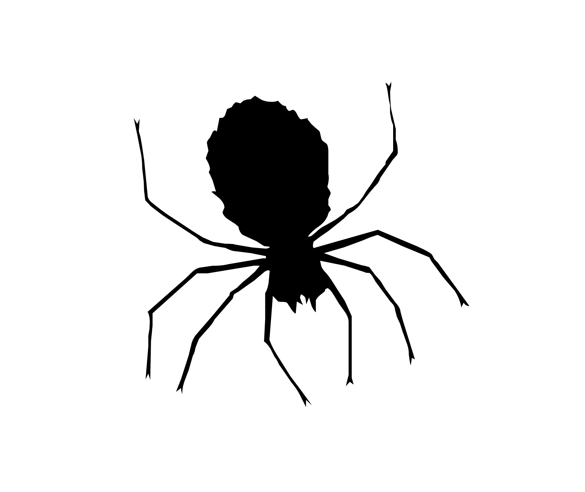 Spider  black and white black and white spider clipart 4