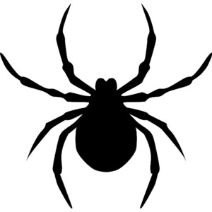 Spider  black and white free spider clip art pictures