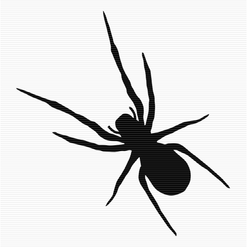 Spider  black and white spider clip art catalog