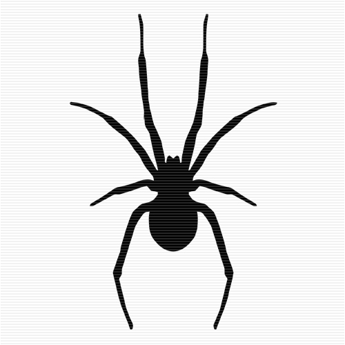 Spider  black and white spider clip art to download