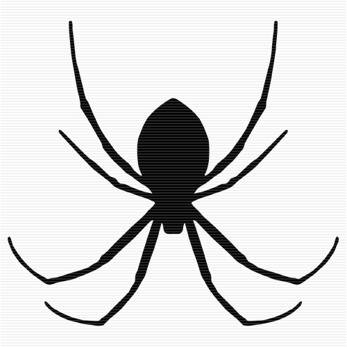 Spider  black and white spider clipart black and white free images 5